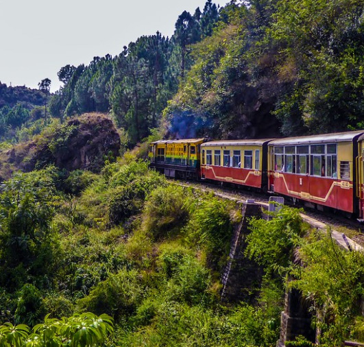 train